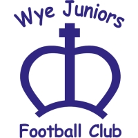 Wye Juniors FC